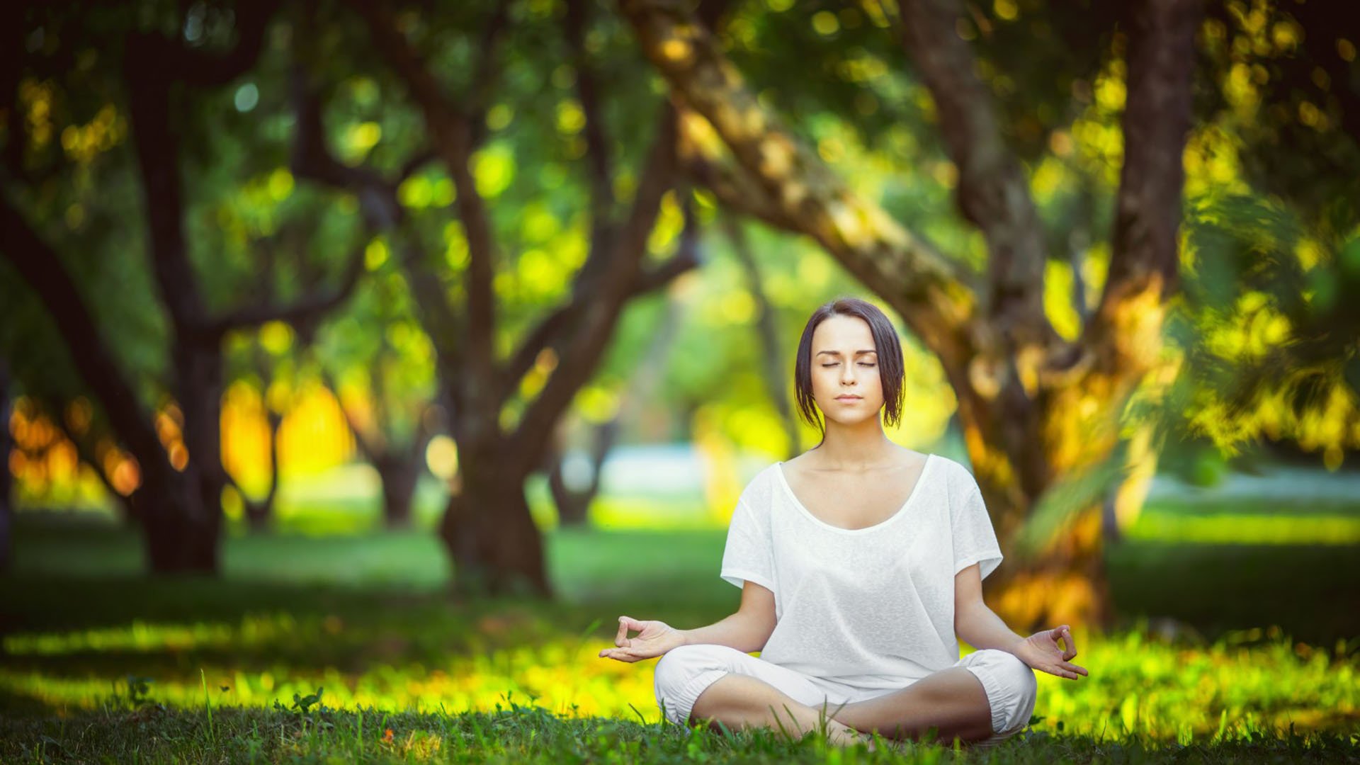体育娱乐平台-黄黑之夜的闪电战，多特蒙德传射震天下，格列兹曼新星照亮未来，多特蒙德闪电战传射震天下，新星格列兹曼照亮未来